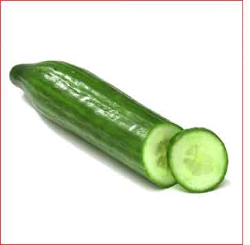 Salatal�k