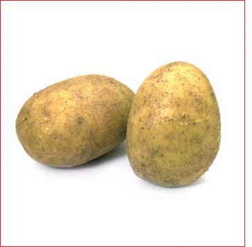 Patates