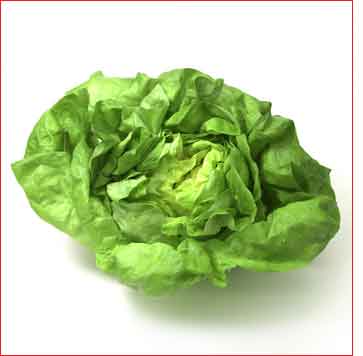 Ye�il Salata (Marul)