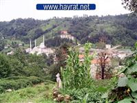 hayrat merkezden g�r�n�mler