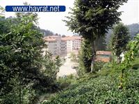 hayrat merkezden g�r�n�mler